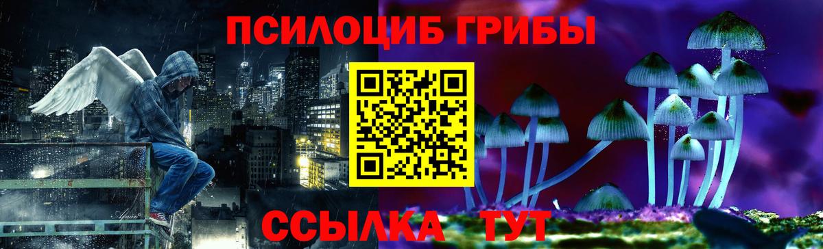 Псилоцибиновые грибы GOLDEN TEACHER  Галлюциногенные грибы Psilocybine cubensis  Вязники  Вход с VPN 